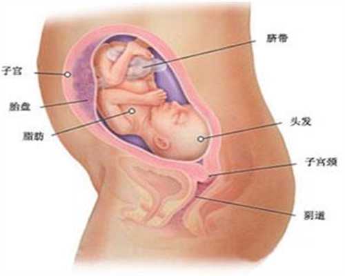 <b>成都代孕：孕期打个喷嚏就“漏尿”，面对这种</b>