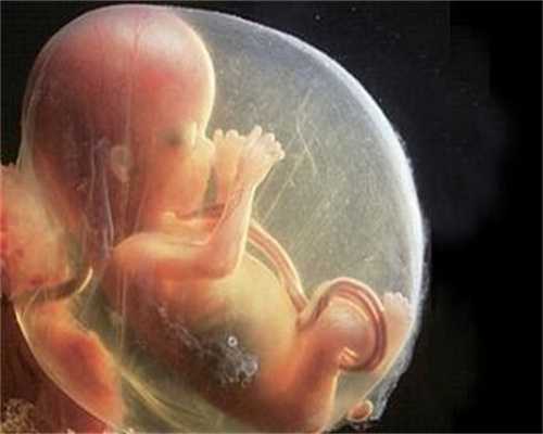 成都代孕：怀孕生孩子那些事 之 胎儿体位