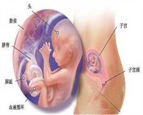 益阳试管婴儿代孕：【米饭+下饭菜，又可以多吃