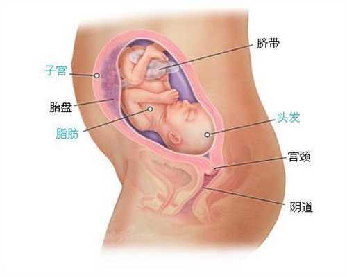 宁波代孕机构：【胎宝宝多听这3种声音，容易养