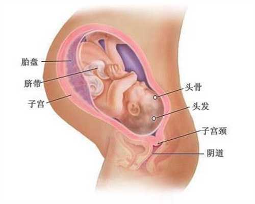 广东代孕产子如何：【过度劳累对孕妇和胎儿有