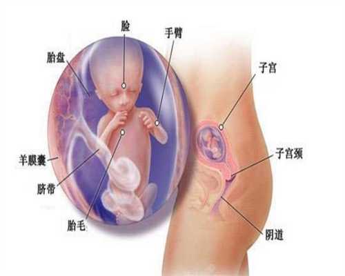 无锡代孕产子的流程：【送给孕妇4个的贴心好礼