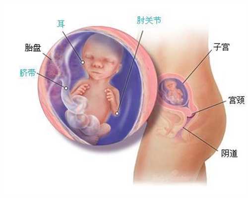 无锡代孕产子的流程：【送给孕妇4个的贴心好礼