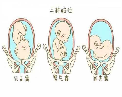 沧州试管婴儿代孕：二胎“养娃津贴”办到了职