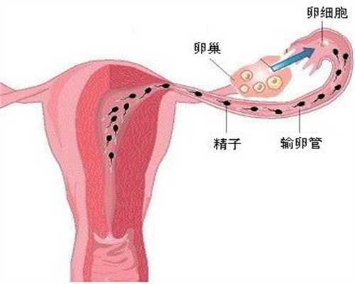 泰国找女人代孕：孕40周胎盘成熟度