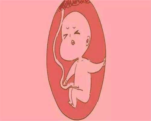 聊城找代孕公司：孕妇为什么容易贫血，孕妇发