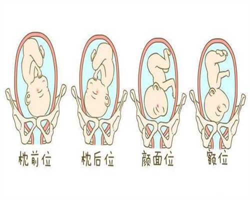 成都代孕群,4种食物孕妈孕期一定要提高警惕