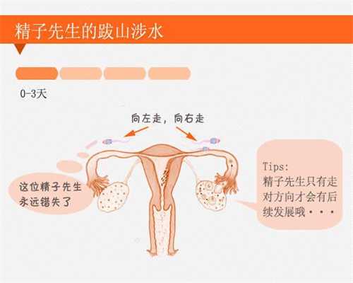 如何找成都代孕妇女,供卵试管婴儿胚胎移植4次失