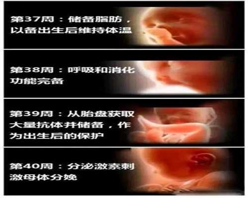 成都中国传承国际助孕~成都代孕妈妈如何收费音