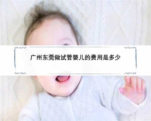 广州东莞做试管婴儿的费用是多少